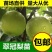 梨树苗翠冠梨树树苗