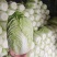 白菜玲珑黄456规格精品没虫眼不烧心量大可持续拉货