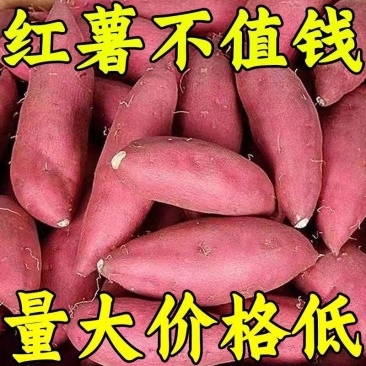 正宗沙地蜜薯新鲜红薯板栗番薯西瓜现挖巴马红心农家糖心地瓜
