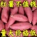 正宗沙地蜜薯新鲜红薯板栗番薯西瓜现挖巴马红心农家糖心地瓜