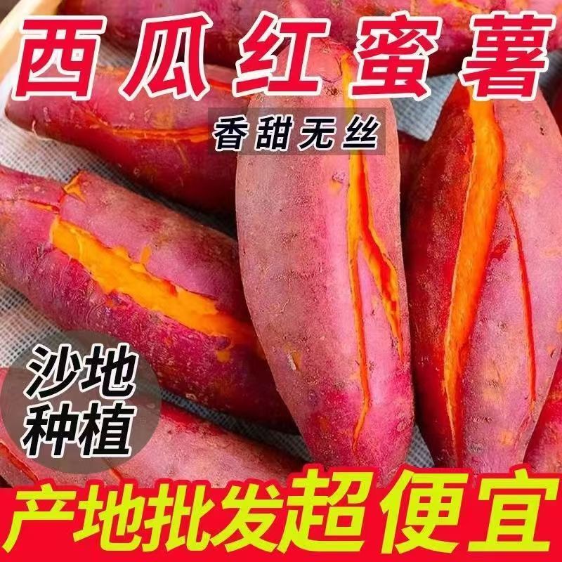 正宗沙地蜜薯新鲜红薯板栗番薯西瓜现挖巴马红心农家糖心地瓜