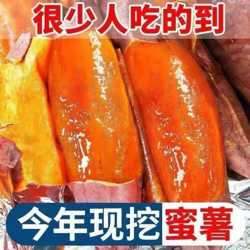 正宗沙地蜜薯新鲜红薯板栗番薯西瓜现挖巴马红心农家糖心地瓜
