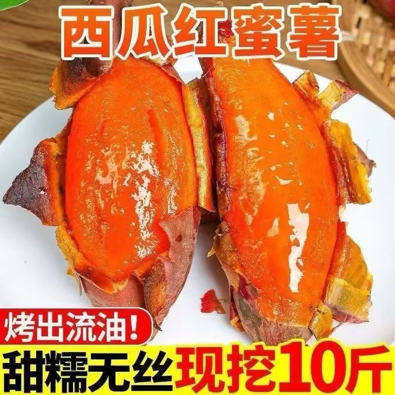 正宗沙地蜜薯新鲜红薯板栗番薯西瓜现挖巴马红心农家糖心地瓜