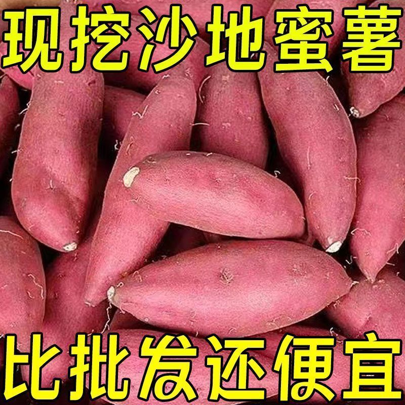 正宗沙地蜜薯新鲜红薯板栗番薯西瓜现挖巴马红心农家糖心地瓜
