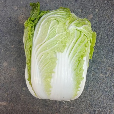 宁夏精品黄心白菜产地直发品质保证量大从优一手货源