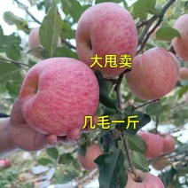 《畅销》山东红富士苹果产地口感脆甜多汁一手货源价格实惠