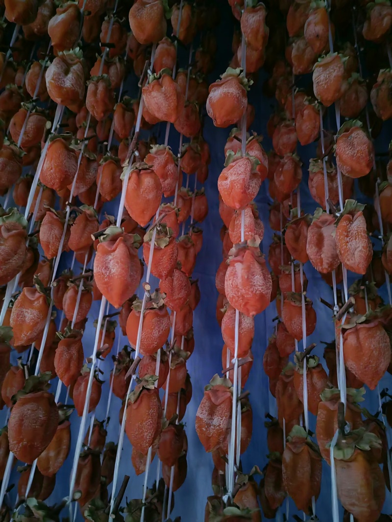 正宗富平流心吊柿饼