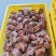 正宗富平流心吊柿饼
