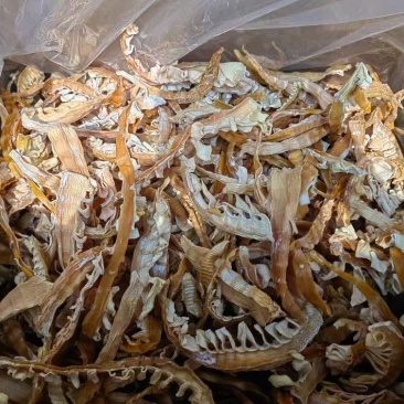 无硫玉兰笋条