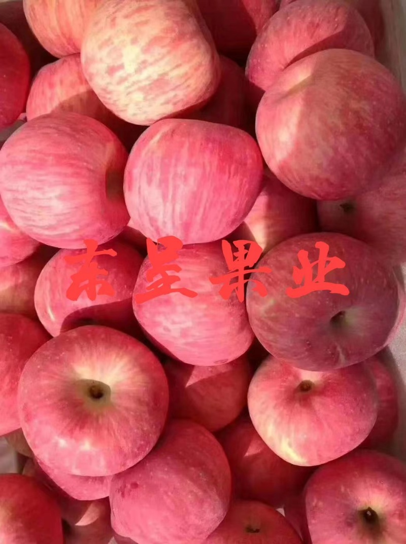 红富士苹果，