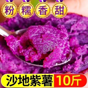 现挖新鲜沙地紫薯番薯粉糯香甜板栗红薯地瓜蜜薯批发