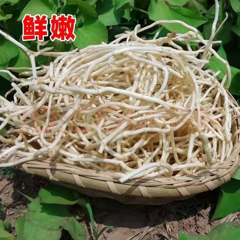 鱼腥草，折耳根，鱼腥草根，产地一手货源，品质保证