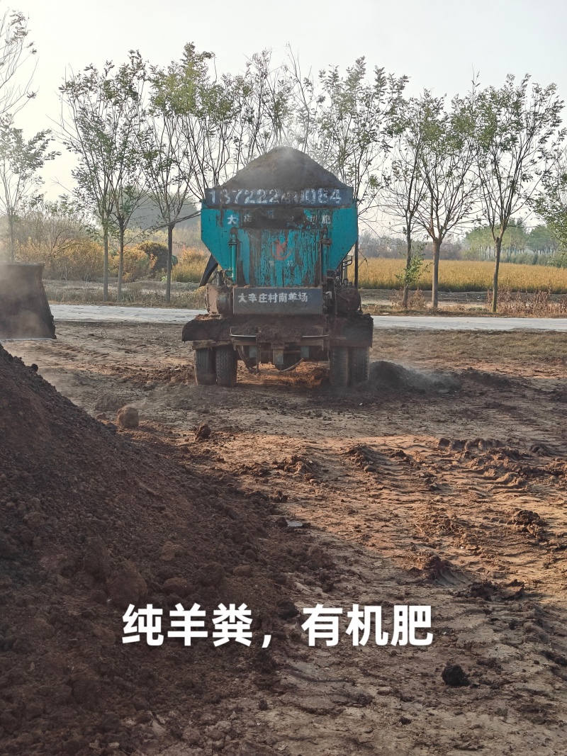 羊粪