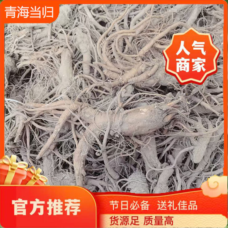 青海无硫大条当归干货精选优质产地直供大量