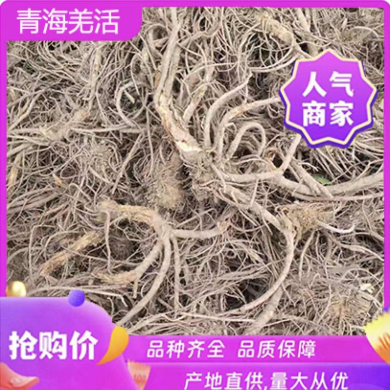 精品羌活干货产地直发量大价优质量保证欢迎产地看货！