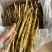 脆笋熊猫笋水竹笋无硫牛尾笋筒笋大筒笋干嫩度好