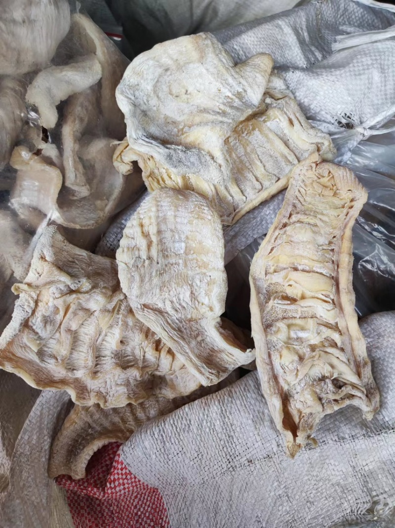 玉兰笋干楠竹笋坨坨笋炖品汤锅火锅佳品
