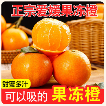 四川优质爱媛果冻橙，对接各大电商平台一件代发