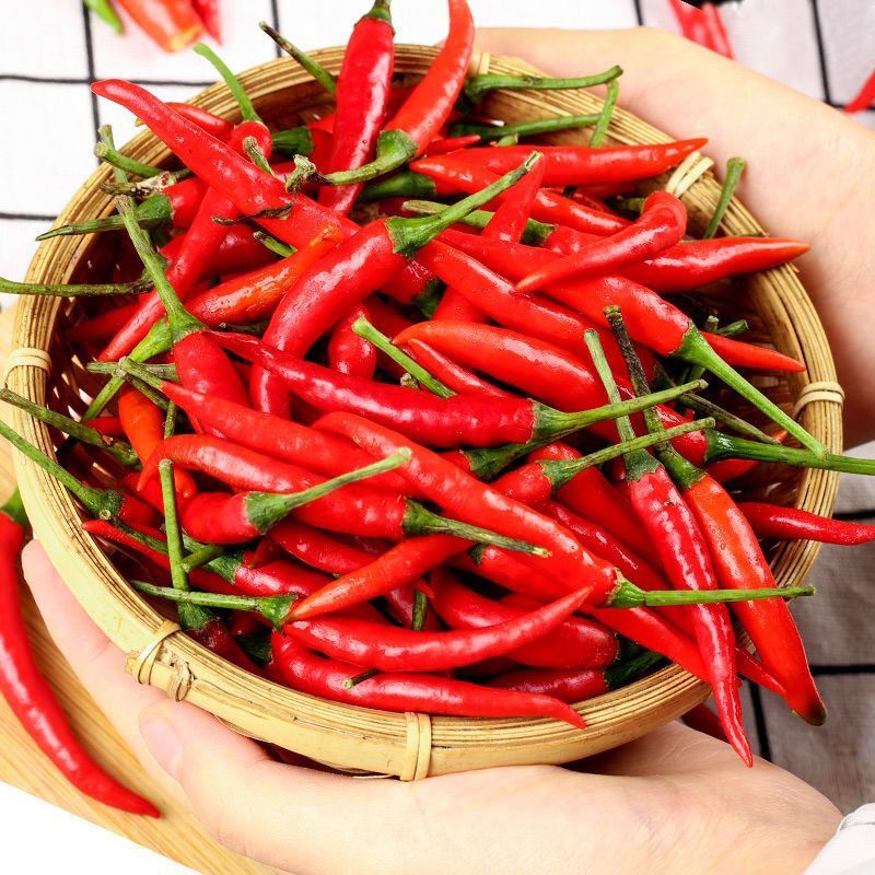 小米辣辣椒