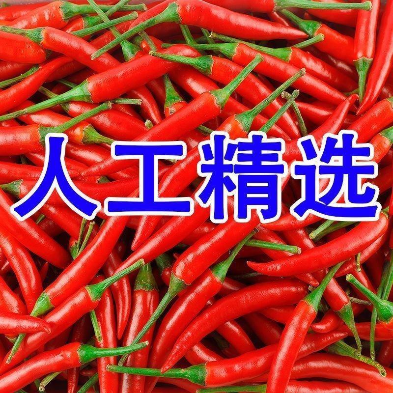 小米辣辣椒