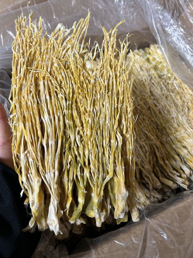 针笋，笋花，雪花笋，笋干，8月笋，丝丝笋刷把笋