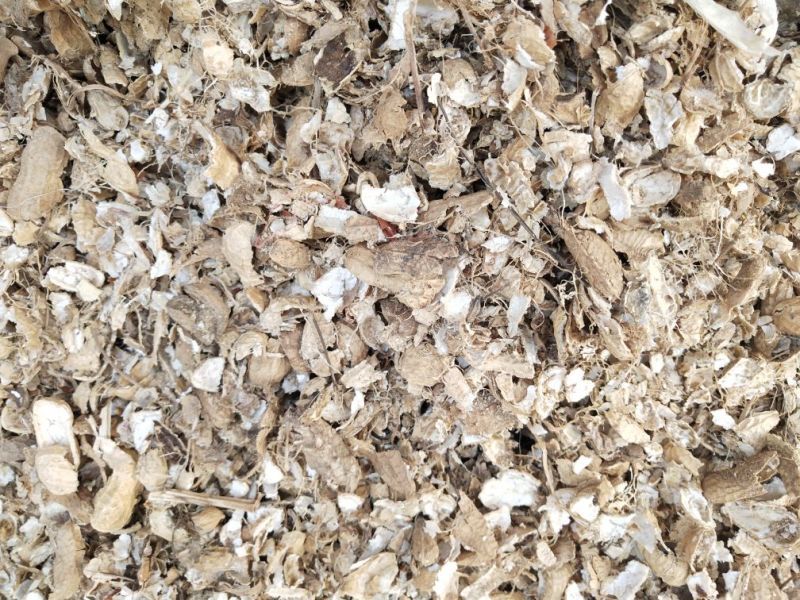 河北精品花生壳/产地直发/一手货源/量大从优/诚信经营