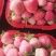 云南高原露天草莓一件代发，红颜草莓、妙七草莓