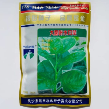 大叶木耳菜种子肉厚鲜嫩大田用种抗高温耐寒耐雨水生长快速