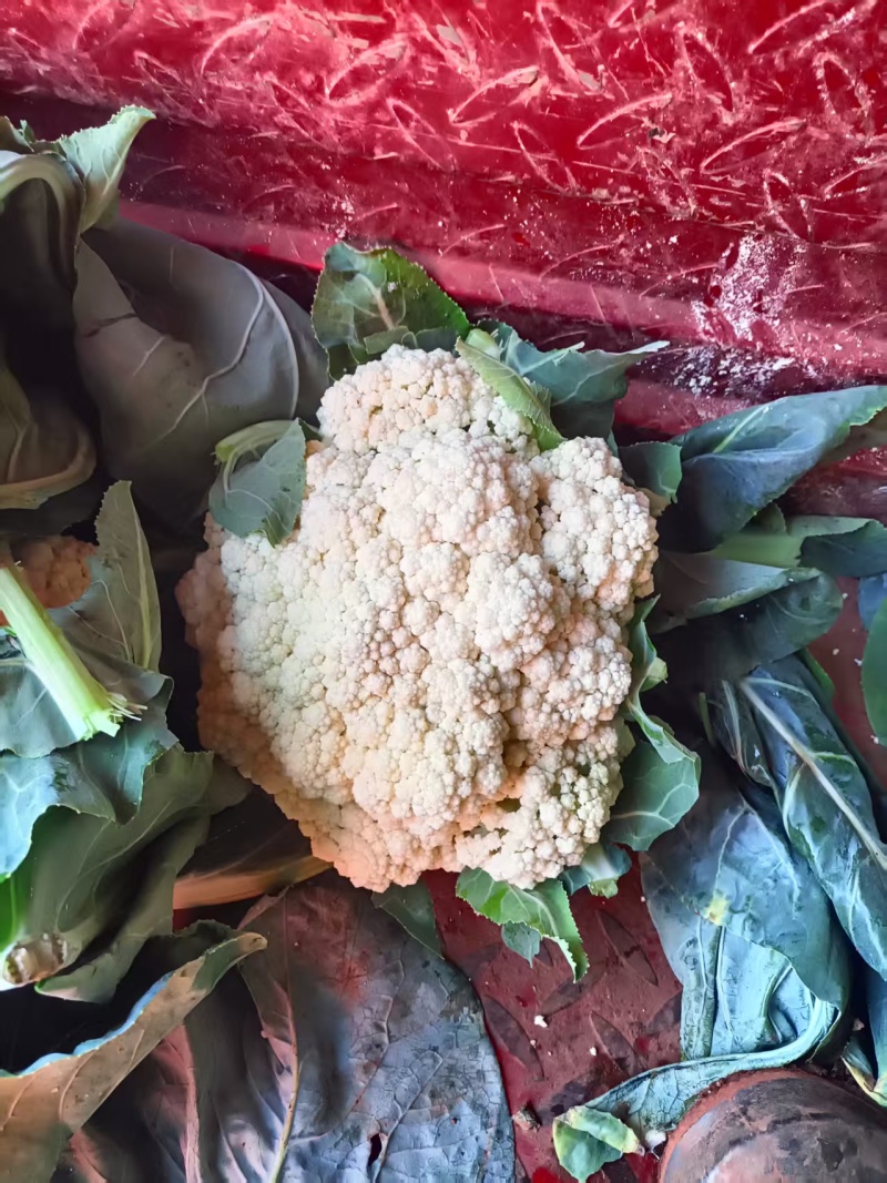 松花上市宣武露天货