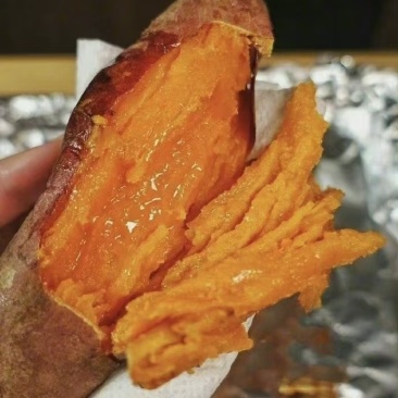 西瓜红