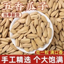 【对接电商】打手瓜子颗粒饱满新鲜炒货打包发货进店咨询