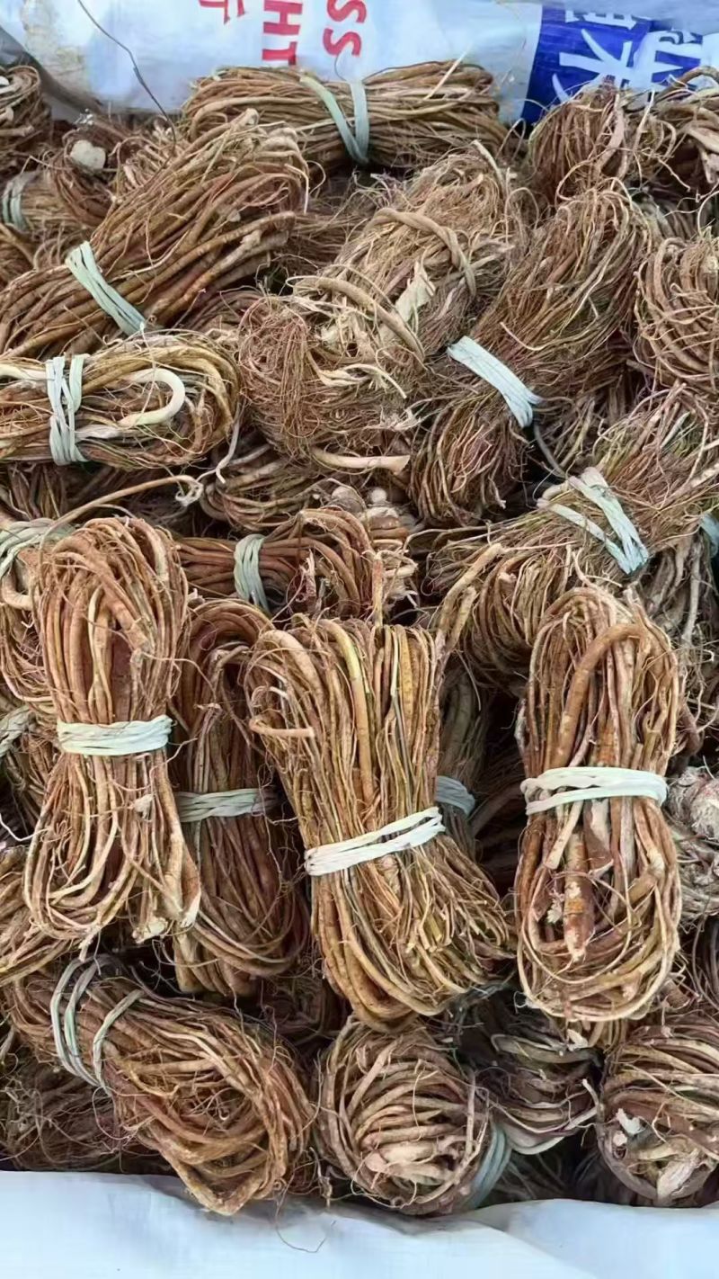 五指毛桃扎把新鲜干货陆川产地直发家用/商用食材批发