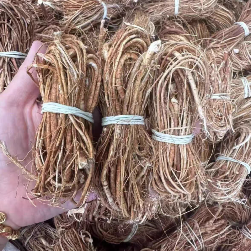 五指毛桃扎把新鲜干货陆川产地直发家用/商用食材批发