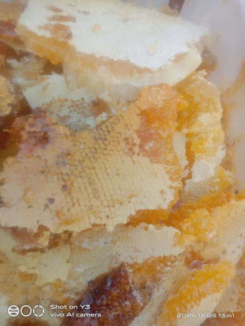 《四川》精品土蜂蜜自家养殖纯度高保质保量欢迎联系