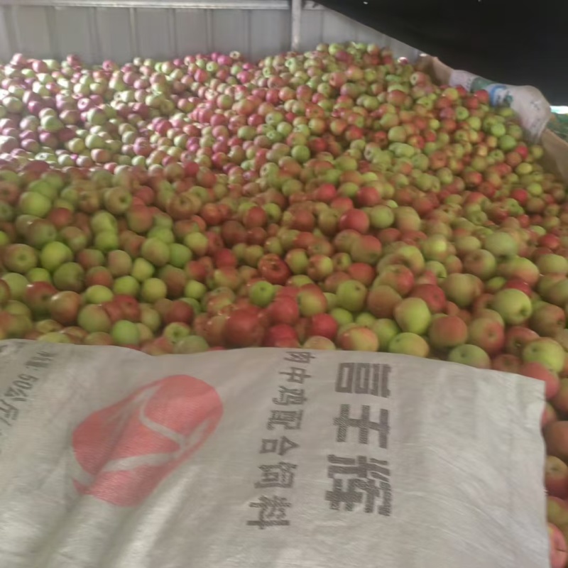 果光苹果，一等，特等，有需要的联系我，，，，