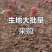 鲜生地，大量有货