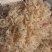 淡干虾皮，价位齐全，做菜煲汤，包饺子都好吃