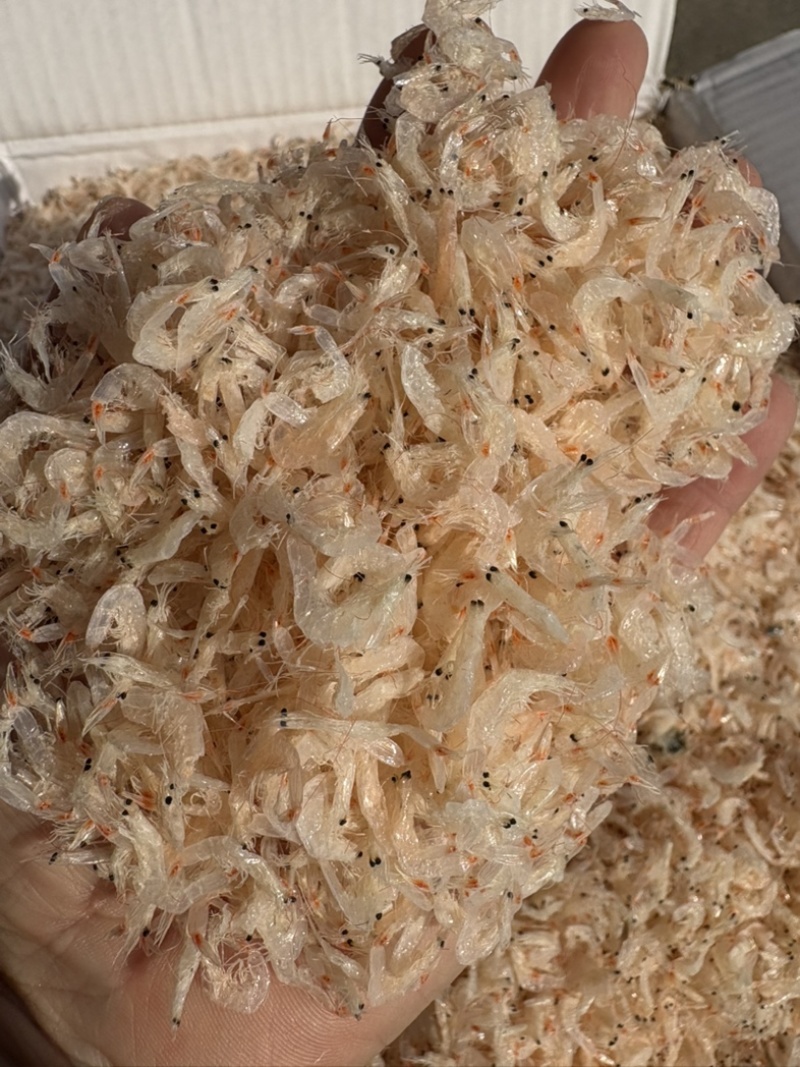 淡干虾皮，价位齐全，做菜煲汤，包饺子都好吃