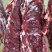 大量批发鲜牛肉，中温肉，冷鲜牛肉，厂家一手货源整件齐全，
