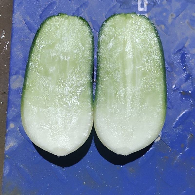 萝卜，青萝卜，货源充足，保质保量