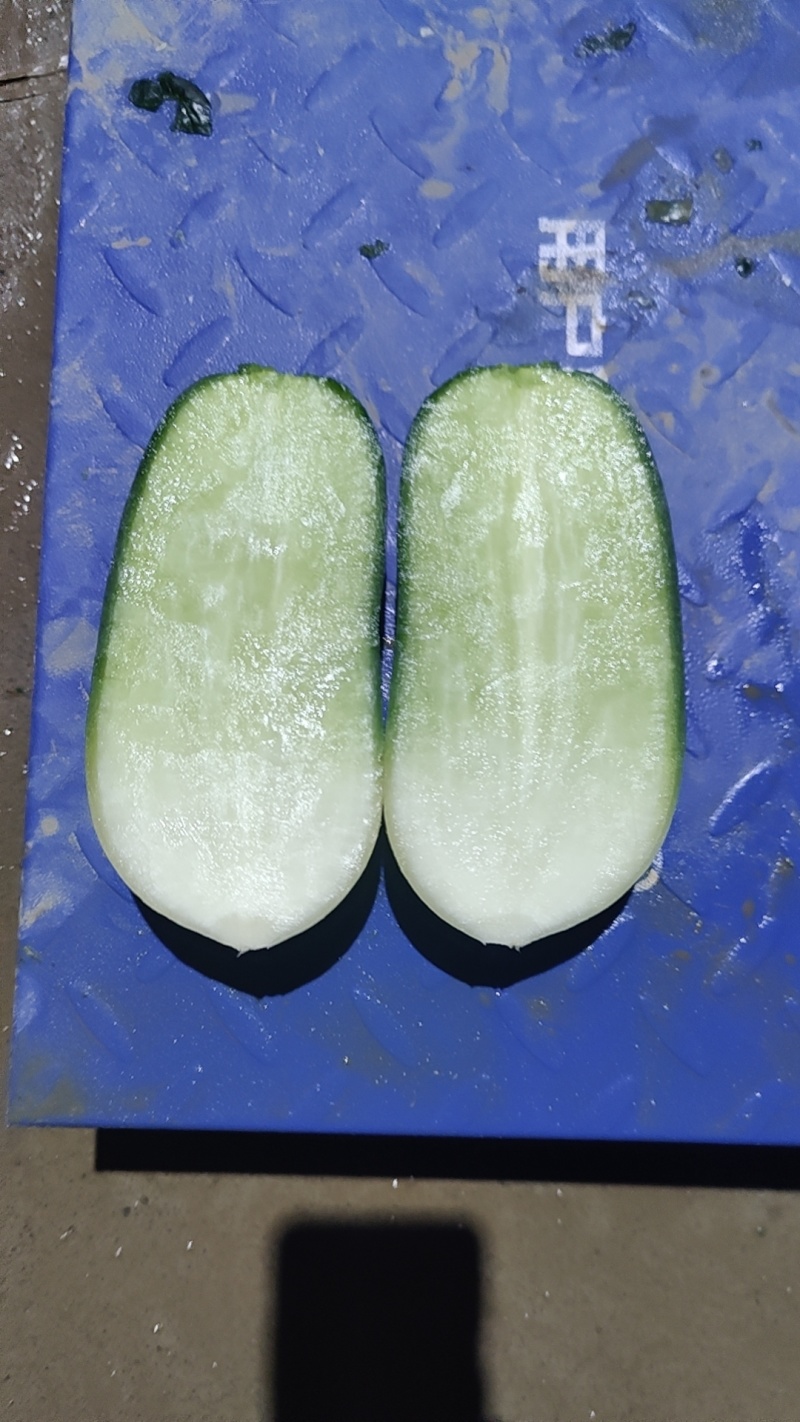 萝卜，青萝卜，货源充足，保质保量