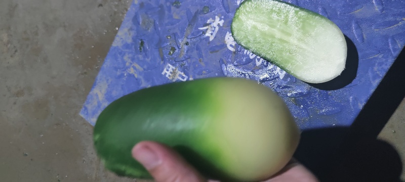萝卜，青萝卜，货源充足，保质保量
