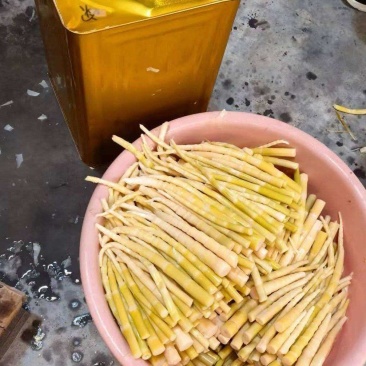 竹笋罐头清水笋厂家直发价格优惠品质上乘