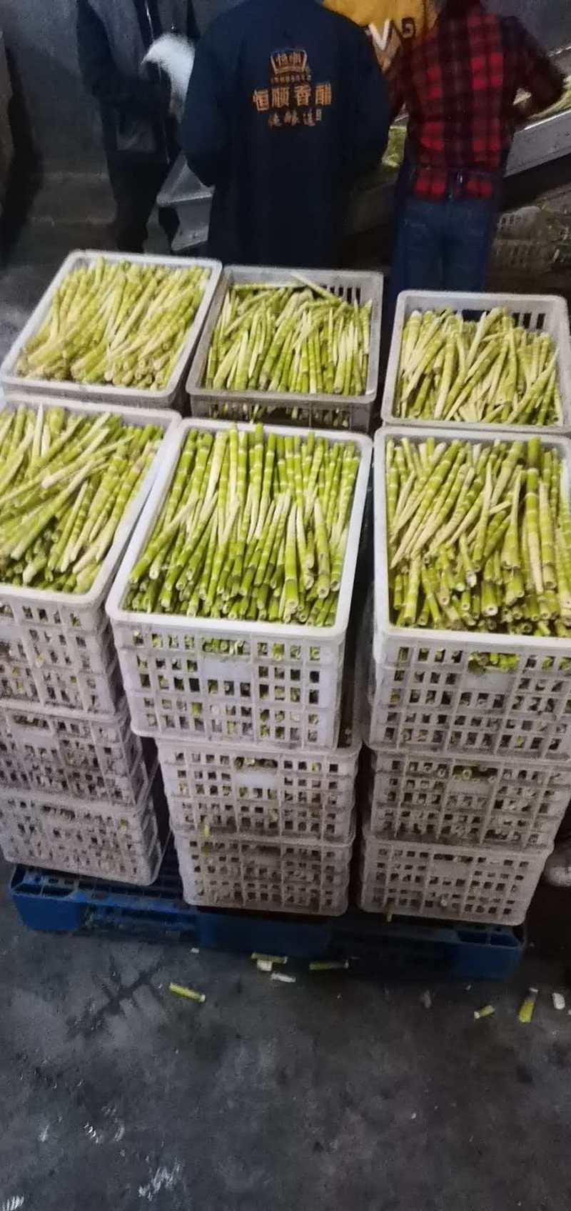 竹笋罐头清水笋厂家直发价格优惠品质上乘