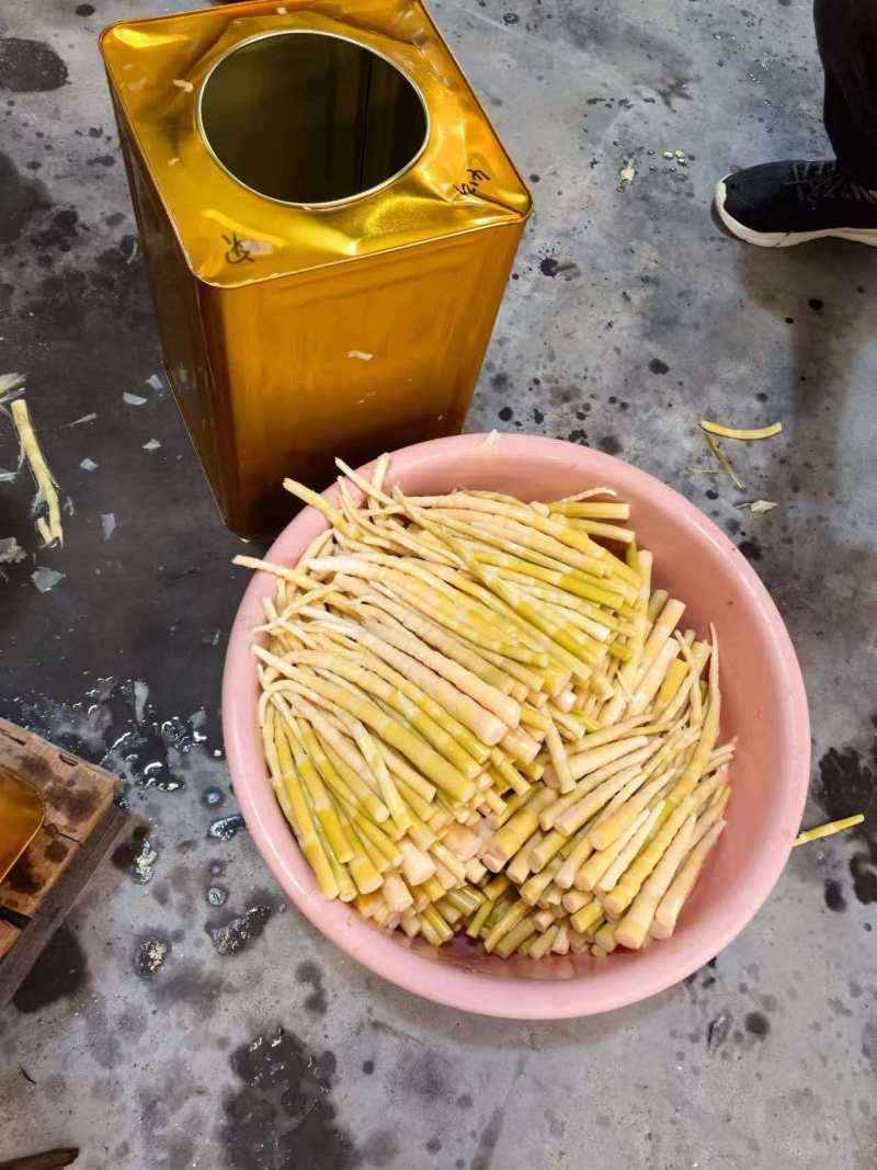 竹笋罐头清水笋厂家直发价格优惠品质上乘