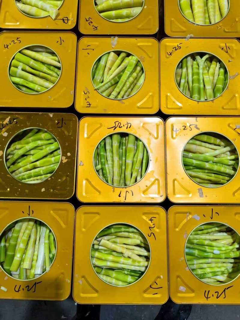 竹笋罐头清水笋厂家直发价格优惠品质上乘
