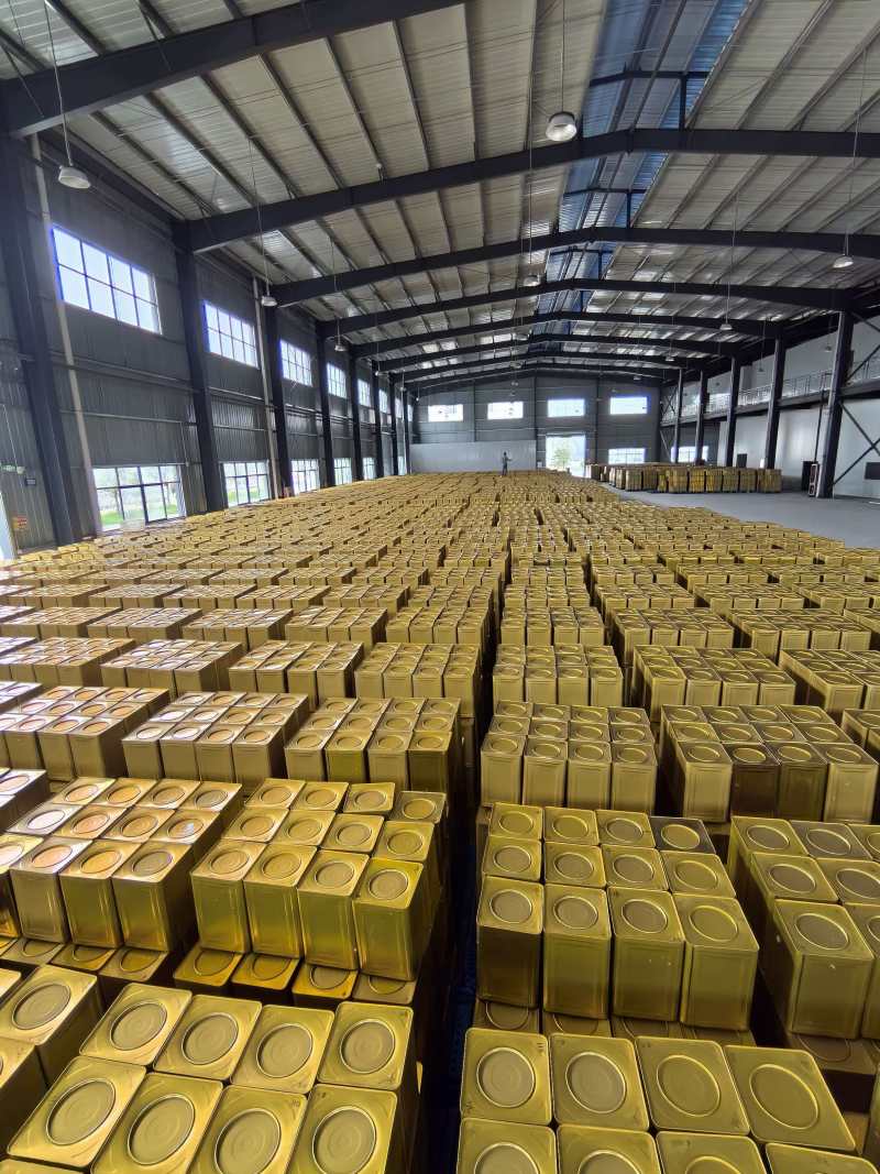 竹笋罐头清水笋厂家直发价格优惠品质上乘