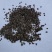 补骨脂碎批发支持代发1000克补骨脂