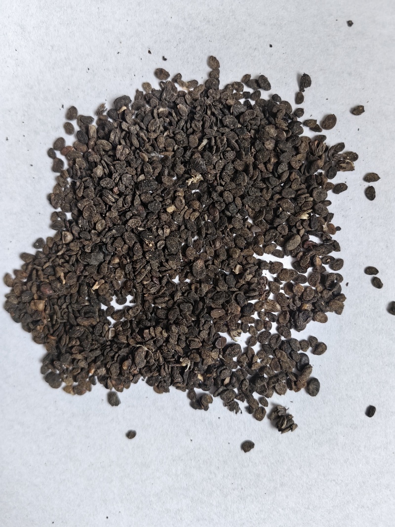 补骨脂碎批发支持代发1000克补骨脂