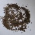 补骨脂碎批发支持代发1000克补骨脂